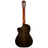 Performer MS-12 RS Martinez