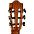 Performer MS-12 RS Martinez