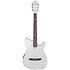TOD10N Silver Metallic Flat Tim Henson Ibanez