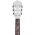 TOD10N Silver Metallic Flat Tim Henson Ibanez