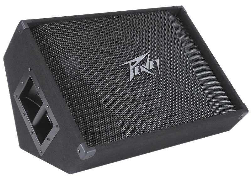 Peavey PV 15M