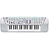 SA 75 Casio