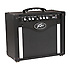 Rage 258 Peavey