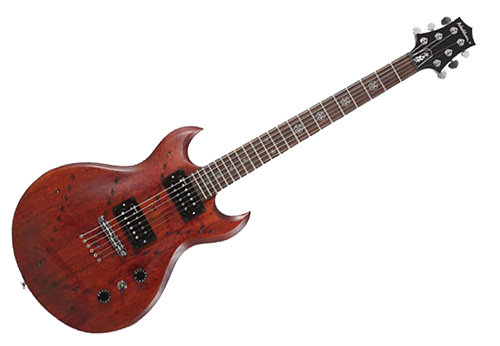 SI60MW Washburn