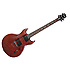 SI60MW Washburn