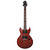 SI60MW Washburn