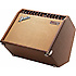 Acoustasonic 30 DSP Fender