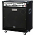 BASSMAN 250/115 Fender
