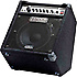 BASSMAN 100 COMBO Fender