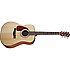 CD140 LH Fender