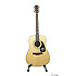 CD100 Fender