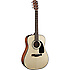 CD100 Fender