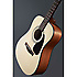 CD100 Fender