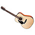 CD100 LH Fender