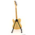 Classic Player Baja Telecaster - Blonde Fender
