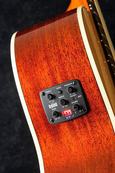 PREMIER 145SC Tanglewood