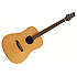 NA60 JN Guitars