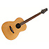 NA60F JN Guitars