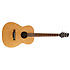 NA60F JN Guitars