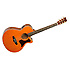 HERITAGE 45HB Tanglewood