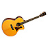 HERITAGE 55HB Tanglewood