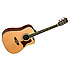 SUNDANCE 15NSCB Tanglewood