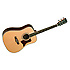 SUNDANCE 15NS Tanglewood