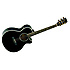 SUNDANCE 49BKDLXB Tanglewood