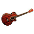 SUNDANCE  47B Tanglewood