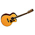 SUNDANCE 55/12NSB Tanglewood