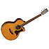PREMIER 145SC Tanglewood