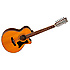 PREMIER 145-12SC Tanglewood