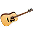 PREMIER 115ST Tanglewood