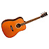 EVOLUTION 28YCSN Tanglewood