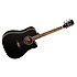 EVOLUTION 28SLBKCB Tanglewood