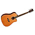 EVOLUTION 28YCSRCB Tanglewood