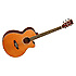 EVOLUTIONT FYCNB Tanglewood