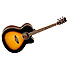 EVOLUTION TSJCEVS Tanglewood