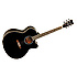 EVOLUTION TSJYBKB Tanglewood