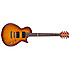 EC-Serie EC-100Q FCSB LTD