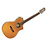 VARIAX 700 ELECTRO ACOUSTIQUE NATURELLE Line 6