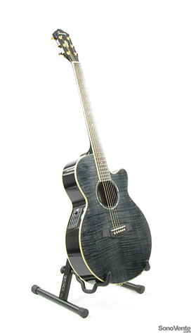 AEG20ETG Ibanez
