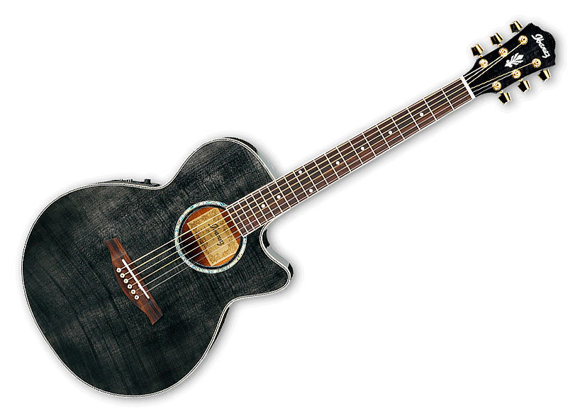 Ibanez AEG20ETG