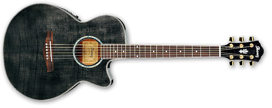 Ibanez AEG20ETG