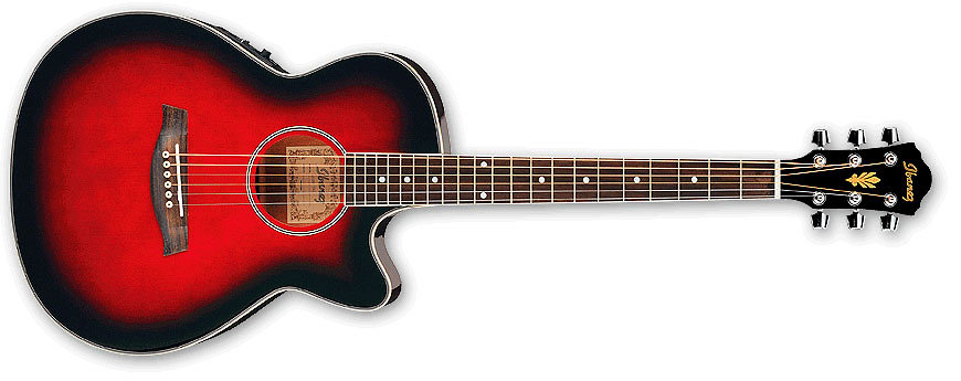 Ibanez AEG8ETRS