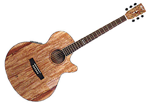 Cort SFX6SP