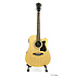 V205SECE-NT Ibanez