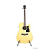 V72ECE-NT - naturelle Ibanez