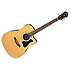 V72ECE-NT - naturelle Ibanez