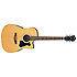 V72ECE-NT - naturelle Ibanez
